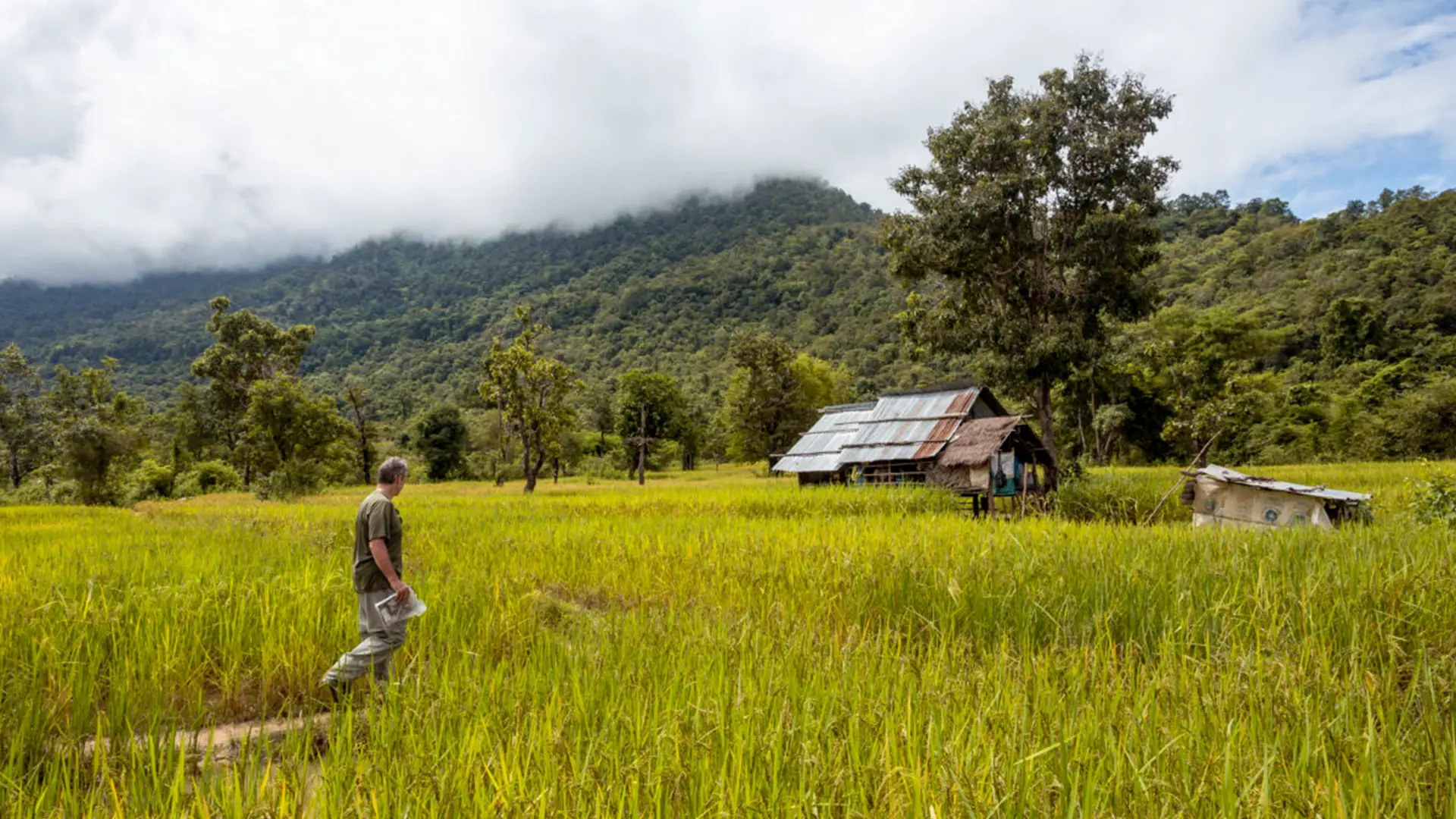 guy walking in a field in a foreign country